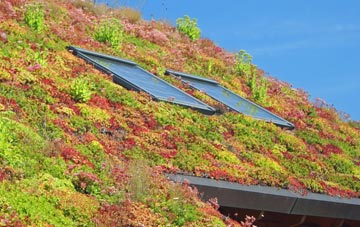 Trethillick living roof systems