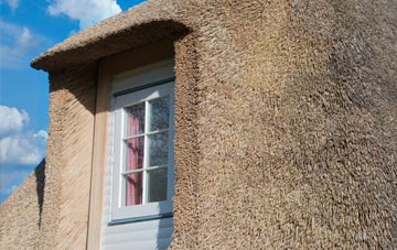 Trethillick thatch roof disadvantages